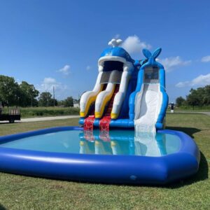 blue whale splash triple water slide